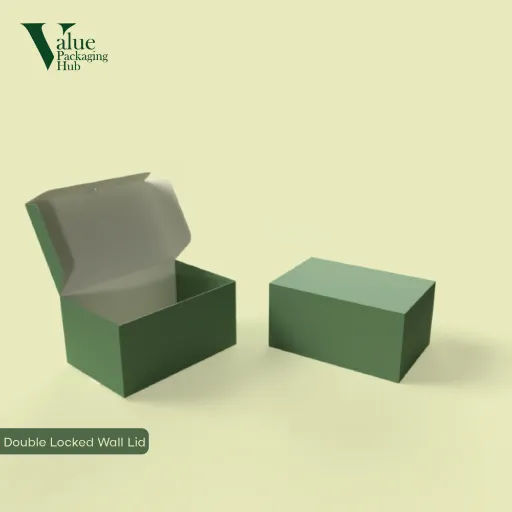 double locked wall lid
