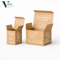 kraft-tuck-top-boxes (2)